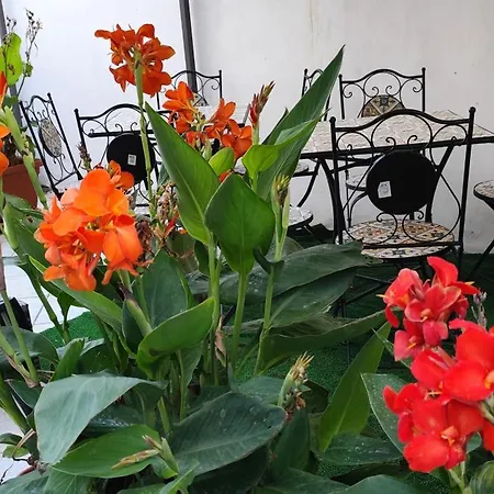 Sea And Blue Sky 1a Calimera (Lecce)